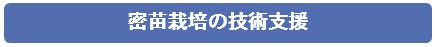 ○○○○○○○○イメージ